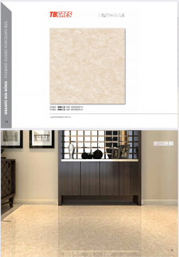 BỘ SƯU TẬP GẠCH LÁT CAO CẤP TBGRES