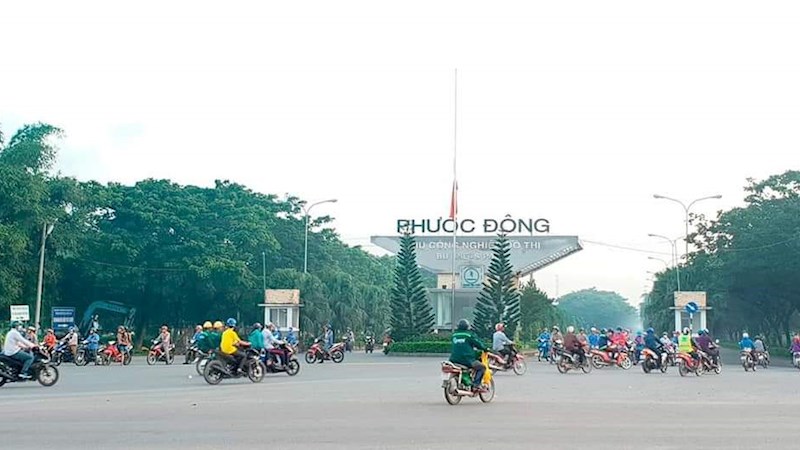 THỊ TRƯỜNG BẤT ĐỘNG SẢN 2019: ĐẤT NỀN VẪN LÀ 'VUA'