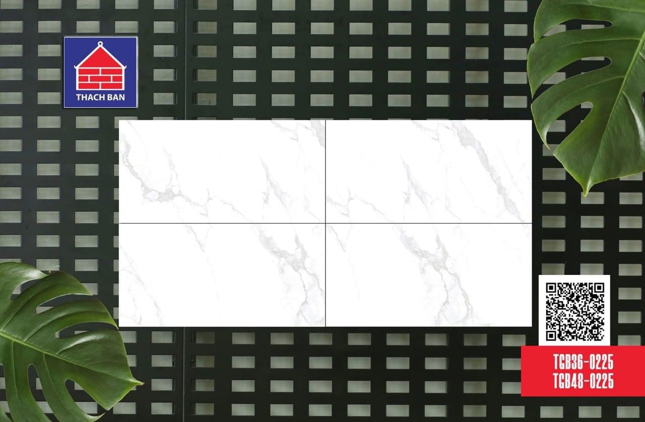 GẠCH ỐP LÁT GRANITE TGB36-0225